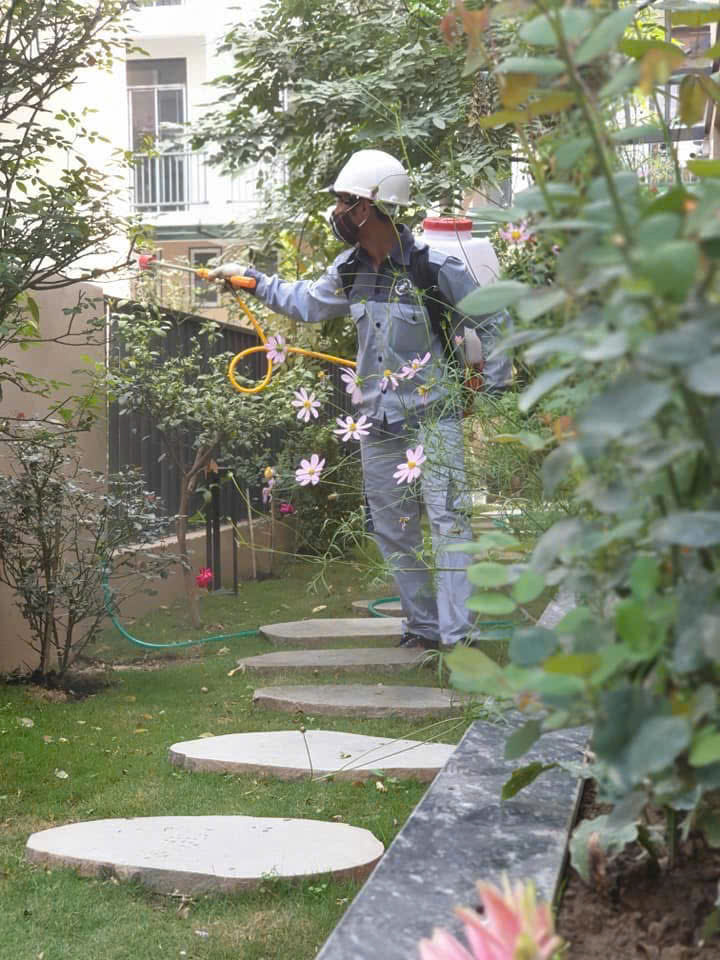 Dịch vụ diệt ruồi